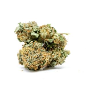 Ak 47 Strain