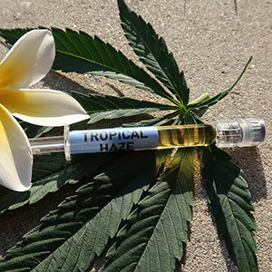 Buy Wholesale Weed Online