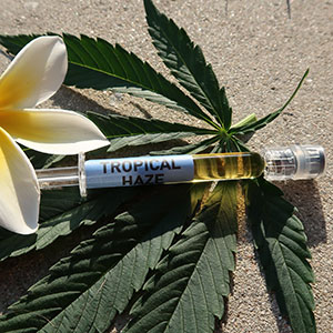 Buy-CO2-Extracted-Cannabis-Oil.jpg Buy Wholesale Weed Online