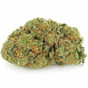 Cherry Pie Strain