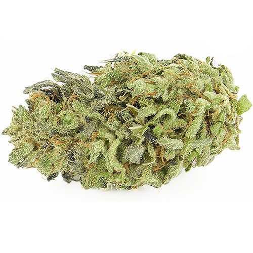 Durban-Poison-Strain.jpg Durban Poison
