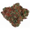 G13 Strains