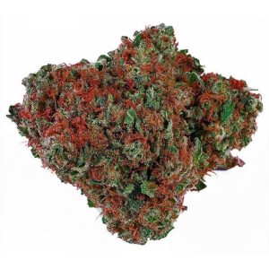 G13 Strains