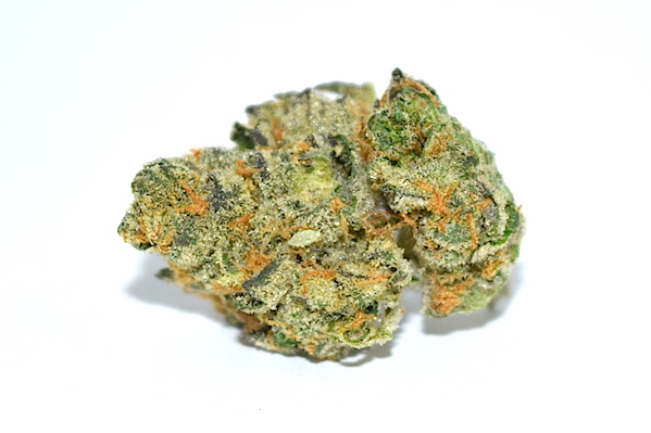 Girl-Scout-Cookie-1.jpg