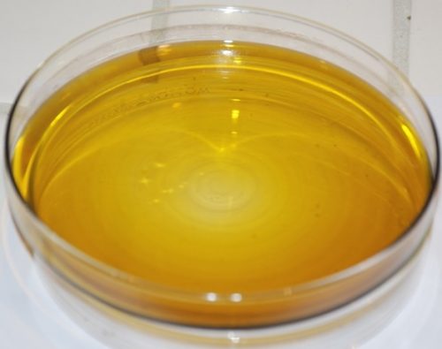Girl-Scout-Cookies-Cannabis-Oil.jpg Girl Scout Cookies CBD