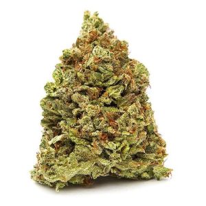 Gorilla Glue