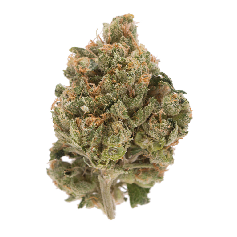 Holy-Grail.jpg Holy Grail Kush