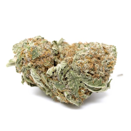 Jack-Herer.jpg Jack Herer Strain