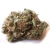 Master Kush