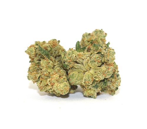 OG-Kush.jpg OG Kush
