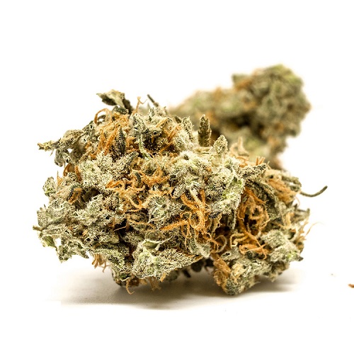 Blue Cheese Kush