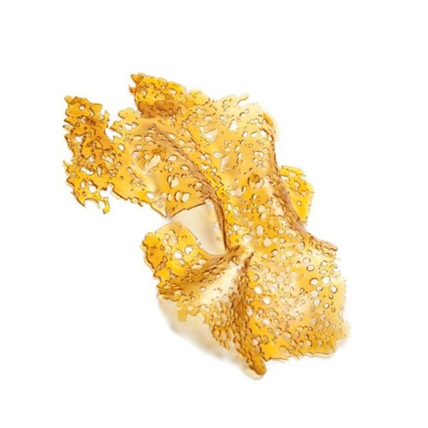Chemdawg-Shatter Chemdawg Shatter