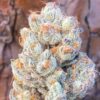 Buy Weed Marijuana Online