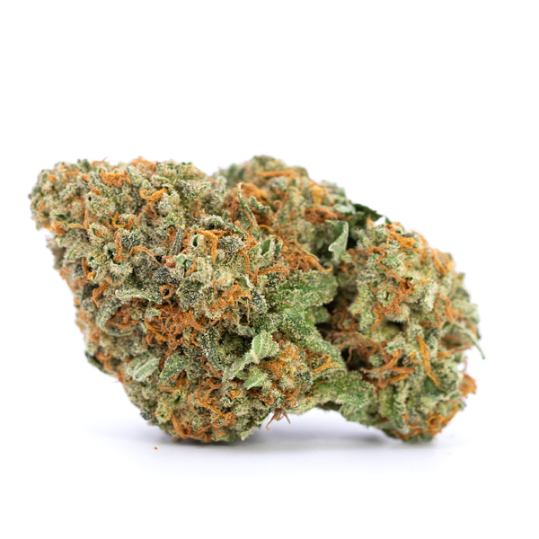 Exotic wedding cake strain