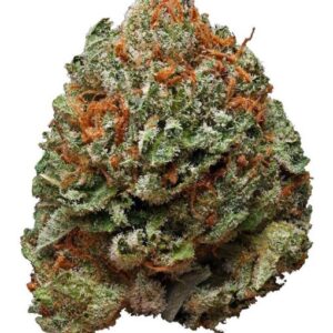 platinum bubba kush strain