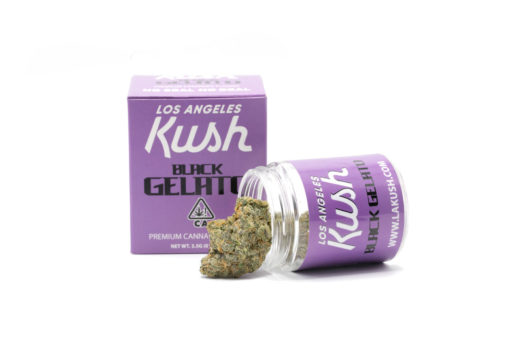GELATO-1-1620x1080-1-510x340