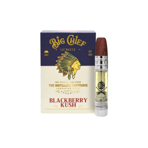 MS-Big-Chief-Cartridge-Box-PNG-0002-510x510 big chief carts