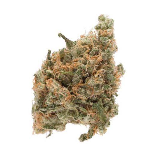THC-Bomb-Strain-510x510 THC Bomb Strain