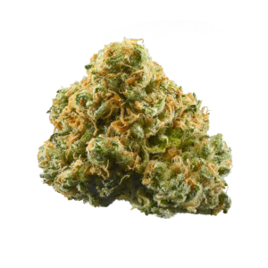ACDC Strain